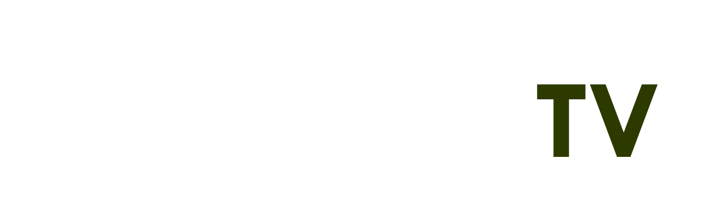 tải fifa 23
